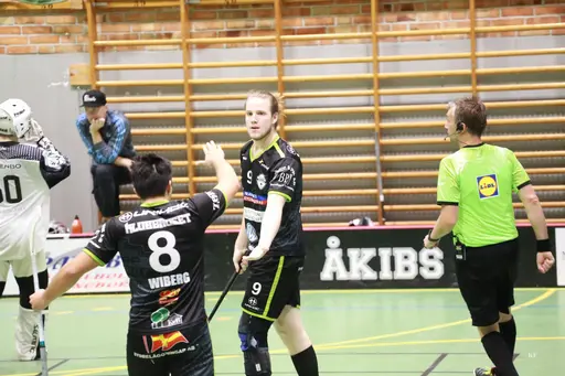 Foto Kenneth Fridström.