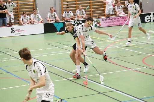 Foto: Kenneth Fridström.