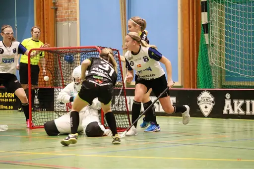 Foto: Kenneth Fridström