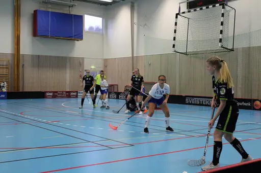 Foto: Ann Farken Ericsson