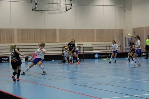 Foto: Ann Farken Ericsson