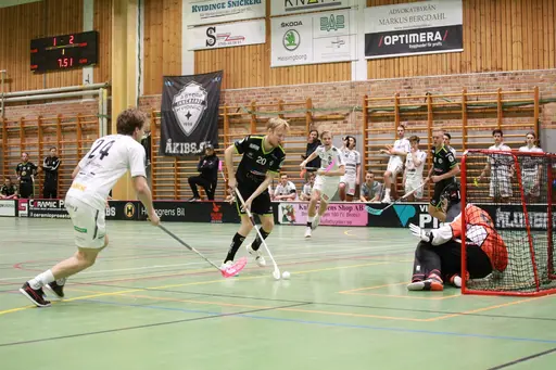Foto: Kenneth Fridström