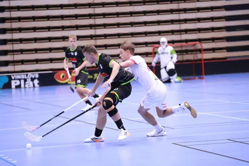 Foto: Kenneth Fridström