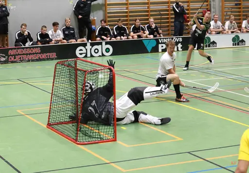 Här kan man se Kenneth Fridströms bilder från matchen