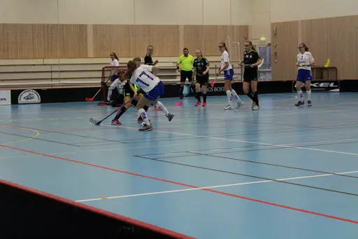 Foto: Ann Farken Ericsson
