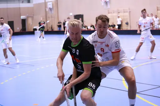 Foto: Kenneth Fridström