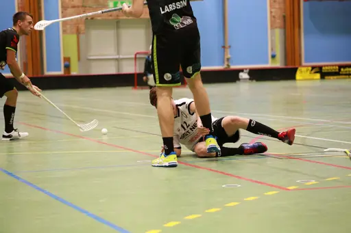Foto: Kenneth Fridström