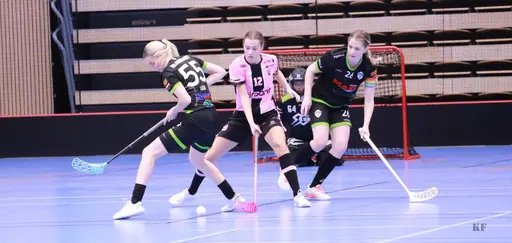 Foto: Kenneth Fridström.