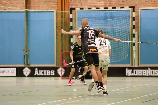 Foto: Kenneth Fridström