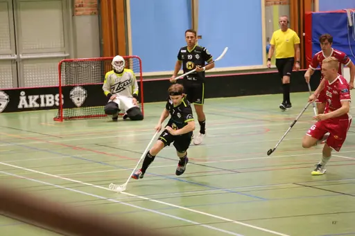 Foto: Kenneth Fridström