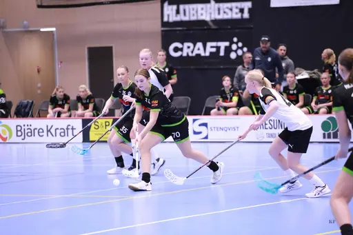 Foto: Kenneth Fridström.