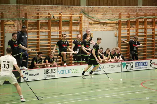 Foto: Kenneth Fridström.