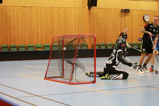 Foto: Kenneth Fridström