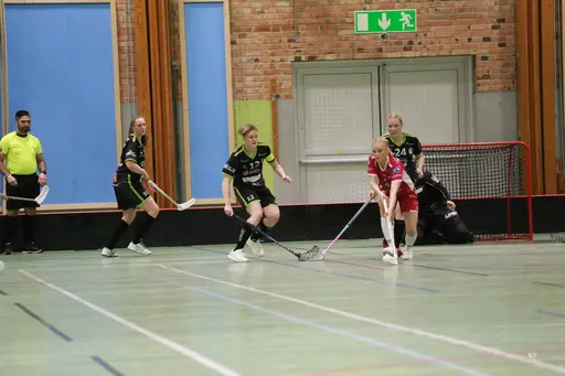 Foto: Kenneth Fridström.