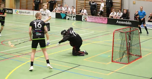 Foto: Kenneth Fridström.