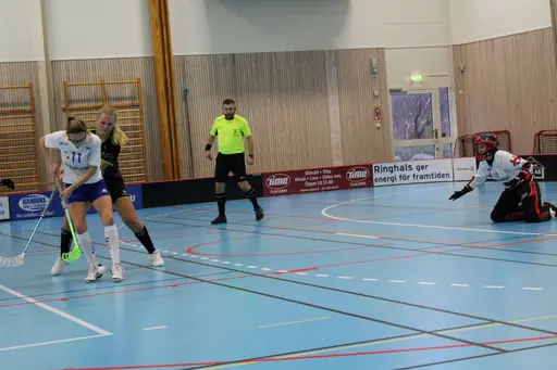 Foto: Ann Farken Ericsson
