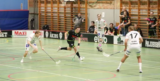 Foto. Kenneth Fridström.