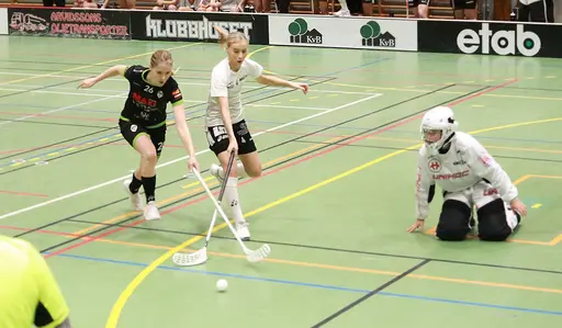 Foto: Kenneth Fridström.