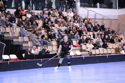 Foto: Kenneth Fridström.