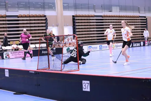 Foto: Kenneth Fridström.