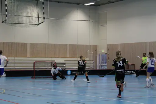 Foto: Ann Farken Ericsson