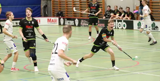 Foto. Kenneth Fridström.