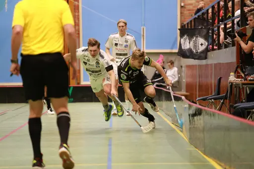 Foto: Kenneth Fridström