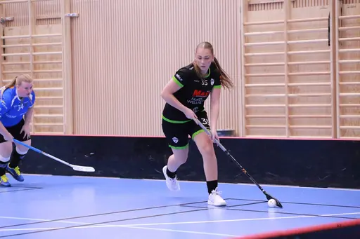 Foto: Kenneth Fridström