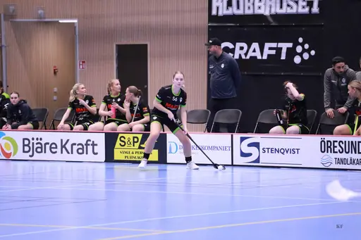 Foto: Kenneth Fridström.