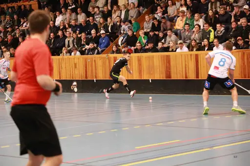 Foto: Kenneth Fridström.
