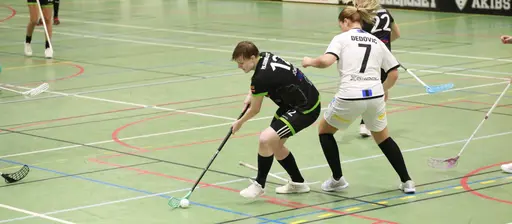 Foto: Kenneth Fridström.