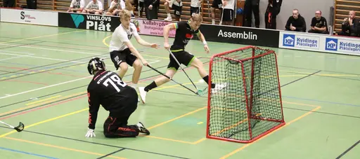 Foto: Kenneth Fridström.