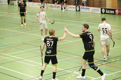 Foto: Kenneth Fridström.