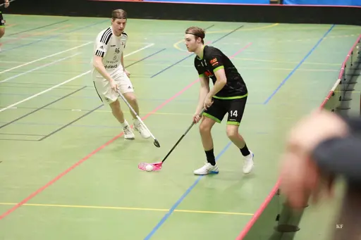 Foto: Kenneth Fridström.