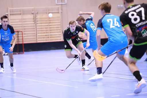 Foto: Kenneth Fridström