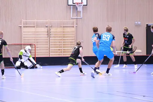 Foto: Kenneth Fridström