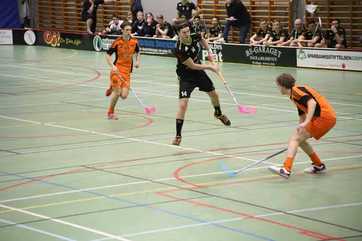 Foto Kenneth Fridström