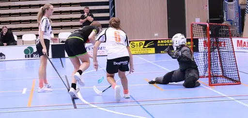Foto Kenneth Fridström.