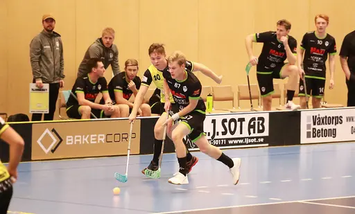 Foto: Kenneth Fridström.