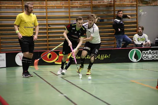 Foto: Kenneth Fridström
