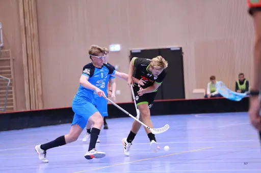 Foto: Kenneth Fridström