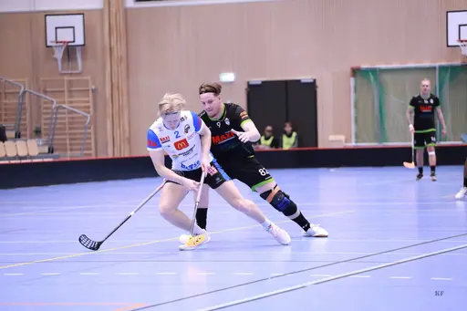 Foto: Kenneth Fridström.