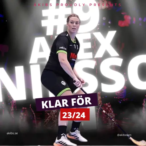 Nästa på tur, Mv Maya Mäkelä