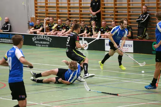 Foto: Kenneth Fridström