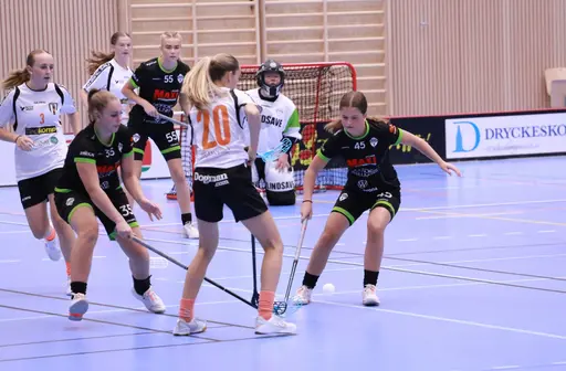 Foto Kenneth Fridström.