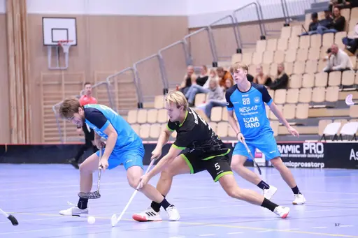 Foto: Kenneth Fridström