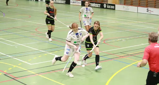 Foto: Kenneth Fridström.