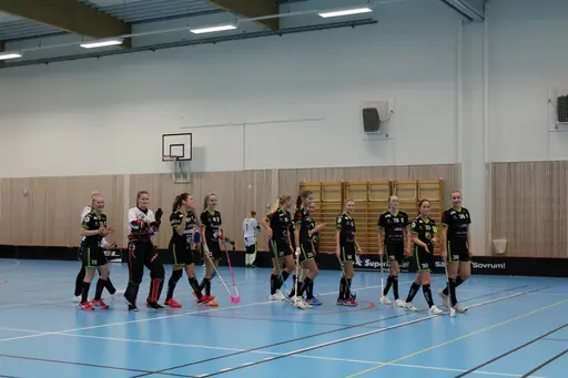 Foto: Ann Farken Ericsson