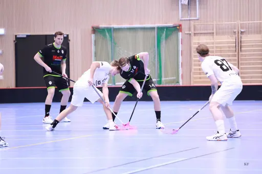 Foto: Kenneth Fridström.