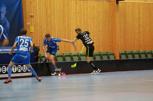 Foto: Kenneth Fridström